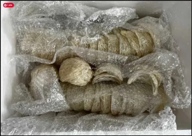 Gửi Yến Sào đi Úc (Australia) - Dịch Vụ Uy Tín Tại An Tin Phat Express