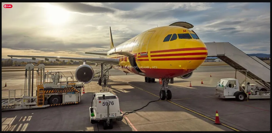 DHL Việt Nam - Dịch Vụ Chuyển Phát Nhanh DHL Express Uy Tín Tại An Tín Phát Express